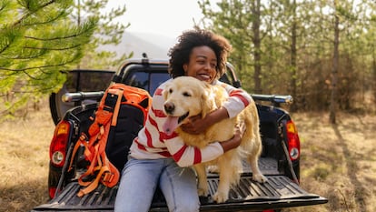 Una guía de imprescindibles para proporcionar confort a tu mascota en todas vuestras escapadas. GETTY IMAGES.