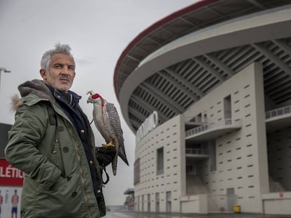 Jorge Castaño Romero, junto al halcón Fernando Torres en el estadio Metropolitano.