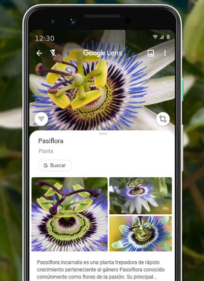 App Google Lens