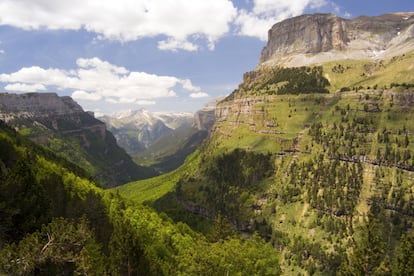 Nos encontramos en el corazón del parque nacional de Ordesa y Monte Perdido, el segundo creado en España en 1918, con una extensión superior a las 15.000 hectáreas y declarado patrimonio mundial. De sus profundos valles y cañones a los circos montañosos, el amplio desnivel que abarcan estos parajes explican por qué acogen diversos climas y un gran inventario de especies. Así, las marmotas conviven con águilas y gamuzas, y las desnudas cumbres de sus montañas dan paso a tupidos valles de pastos y bosques donde los pinos crecen junto a encinas. www.rednaturaldearagon.com