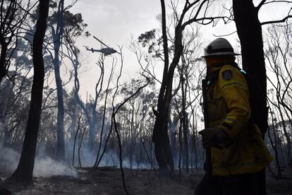 Un bombero sobre una parte del terreno alcanzado por el incendio. Más de mil bomberos se han desplazado para tratar de acabar con las llamas, que ya han quemado unas 575.000 hectáreas de terreno —una superficie equivalente a dos veces Luxemburgo— desde el 1 de julio hasta principios de mes.