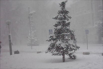 "Esto es el parque de Vicente Goikoetxea en Vitoria-Gasteiz, el miércoles 26 nevando y con fuertes vendavales. La temperatura no superaba los 0º". (ASCEN ALKORTA)