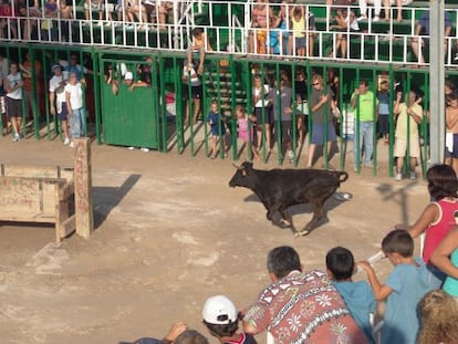 espectáculo de 'correbou' en l'Ampolla en las Fiestas del Carme de 2005