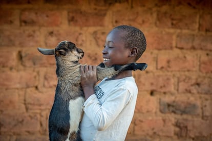 Esta primavera estuve en Zambia trabajando para el catálogo de regalos de Navidad de World Vision. Fotografié a muchos niños sonrientes con cabras. Entre nosotros, os diré que conseguir que la cabra también sonriese era una reto. Cuando llegamos a la casa de Nathan, de nueve años, nos estábamos preparando para un retrato formal del niño con la cabra en brazos. Pero Nathan tenía otras ideas y el abrazo con la cabra fue absolutamente precioso. Se convirtió en la portada del catálogo de regalos más divertido que he realizado.