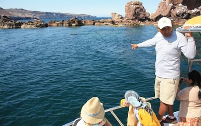 Avistamiento de ballenas en Los Cabos, Baja California (M&eacute;xico).