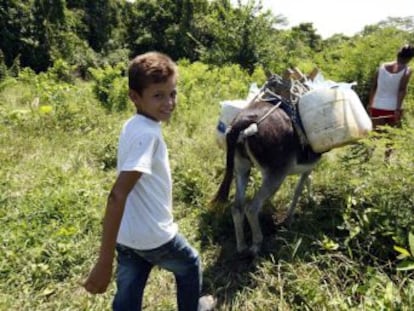 Campesinos que vuelven a sus hogares, exguerrilleros que ingresan en la vida civil, lugares antes vetados que se abren al turismo, nuevos negocios. Tras medio siglo de enfrentamiento entre el Estado y las FARC, el país vive hoy un proceso de paz que trae innumerables retos, pero más oportunidades