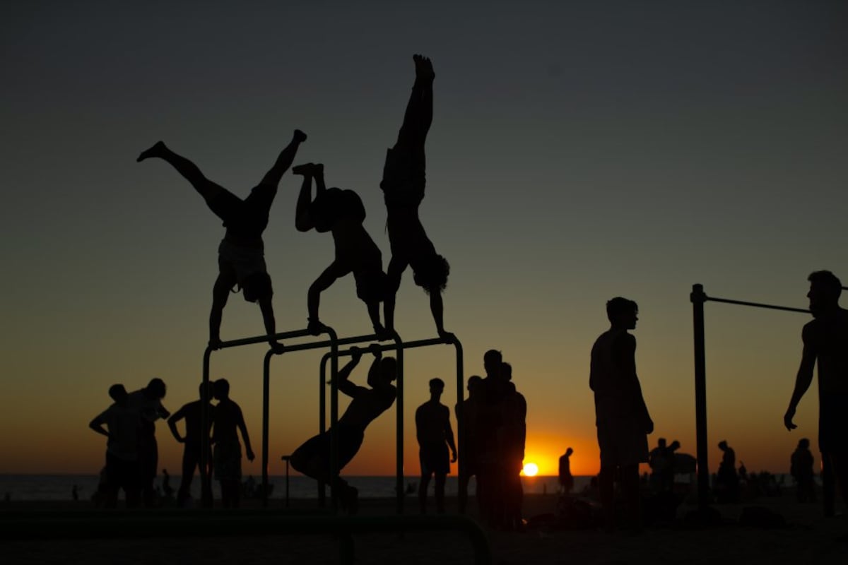 Bro science' and Huberman husbands': The alpha male wellness business that promises to optimize sex and extend life