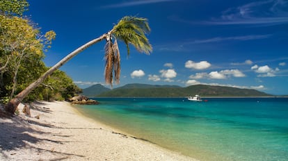 La isla de Fitzroy, cerca de Cairns.