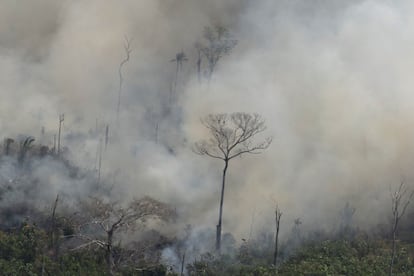 “Nuestra casa está en llamas. Literalmente. La selva amazónica —los pulmones que producen el 20% del oxígeno de nuestro planeta— está en llamas. Es una crisis internacional”, proclamó el jueves el presidente francés, Emmanuel Macron, en su cuenta de Twitter. Algunos expertos consultados son más cautos. En la imagen, vista del incendio cerca de Porto Velho (Brasil), el viernes 23 de agosto.