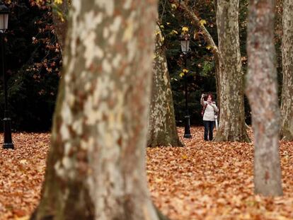 Una mujer se hace una foto con un móvil en un parque de Pamplona completamente cubierto de hojas.