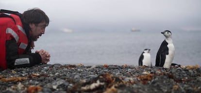 El actor español Javier Bardem mientras observa dos pingüinos, en la Antártida (Chile), el 24 de enero.