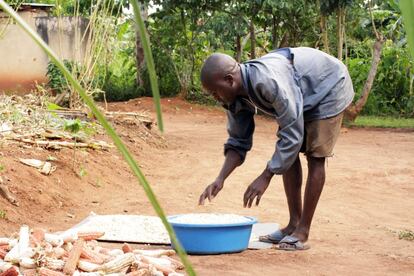 Winston (46 años) separa los granos de maíz para el consumo familiar y para las gallinas. La economía de esta comunidad es, prácticamente, de subsistencia así que si sobra algo de la cosecha podrá desplazarse al mercado de Jinja, a unos 15 kilómetros, para vender su mercancía.