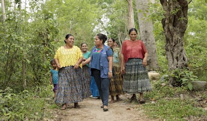 Un grupo de mujeres indígenas guatemaltecas del valle de Polochic recorre los campos en los que están haciendo crecer sus cultivos. Es un negocio apoyado por un programa de las Naciones Unidas para promover el desarrollo rural. 