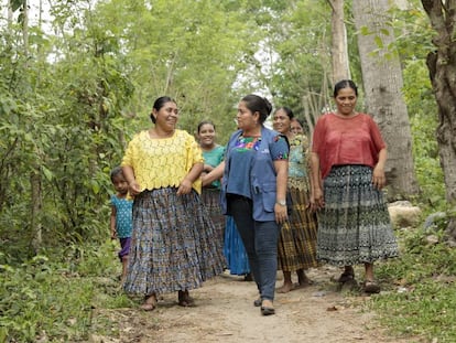 Un grupo de mujeres indígenas guatemaltecas del valle de Polochic recorre los campos en los que están haciendo crecer sus cultivos. Es un negocio apoyado por un programa de las Naciones Unidas para promover el desarrollo rural. 