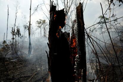 Los restos del tronco de un árbol afectado por los incendios en Apui (Brasil) el día 3 de septiembre de 2019. Según el INPE, el equivalente a más de 1,5 campos de fútbol de la selva del Amazonas son destruidas cada minuto a diario.