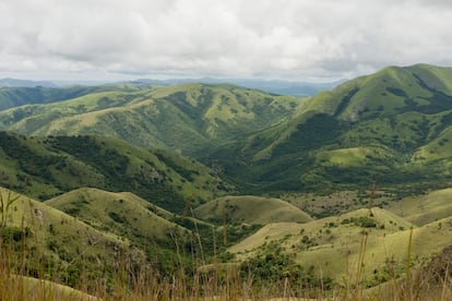 The Barberton greenstone belt in South Africa is one of the few places where early Earth rocks survive. 