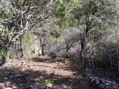 Vallado sin autorizaci&oacute;n en la finca de Alberto Cortina