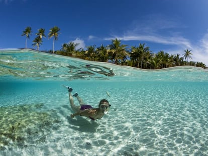 Buceando con tubo en las islas Molucas (Indonesia).