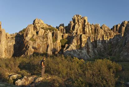 Sus dominios abarcan desde la mina del Cerro del Hierro hasta los berrocales de El Pedroso y Real de la Jara, pasando por la cueva de los Covachos, las cascadas del río Huéznar, y el yacimiento de medusas fósiles de Peña Escrita por más de 170.000 hectáreas de dehesas de alcornoques, encinas y olivares. / www.juntadeandalucia.es/medioambiente