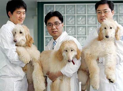 Lee Byeong-chun, en el centro, posa junto a dos de sus investigadores con las perras Bona, Hope y Peace.
