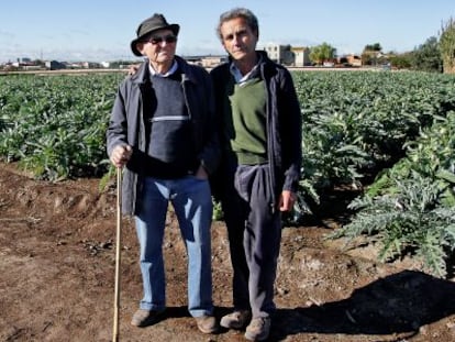 Los agricultores Juan Albiach y Vicent Martí en los terrenos de la huerta de Alboraia, ahora amenazados.