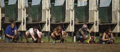 Comienzo de una carrera de perros durante un campeonato celebrado en una pista para caballos en Minnesota (EE UU).