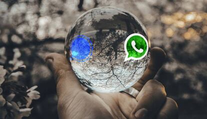 Signal se mira en el espejo de WhatsApp.