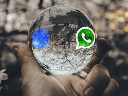 Signal se mira en el espejo de WhatsApp.