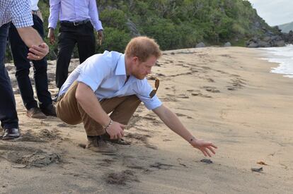 El príncipe visita el proyecto de conservación de tortugas de Nevis en Lover's Beach el cuarto día de una visita oficial que marca el 35 aniversario de la independencia en Antigua y Barbuda y el 50 aniversario de la independencia en Barbados y Guyana. 