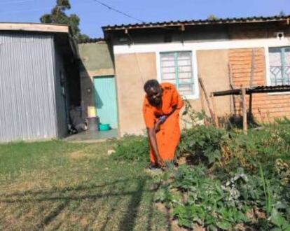 Emma Ochieng cuida las verduras del huerto de su nueva casa en la urbanizaci&oacute;n Kibos Kisumu, de Kisumu, en Kenia, el 23 de enero de 2018.  