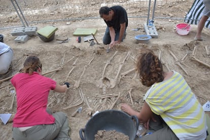 Al juliol s'analitzaran genèticament les restes òssies i els resultats obtinguts es creuaran amb les dades genètiques de familiars dels desapareguts a la Guerra Civil.