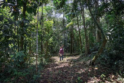 Ene Nenquimo vicepresidenta de la Nacionalidad Waorani, en el Parque Nacional Yasuní.