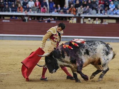 Morenito pasa de muleta al toro que le cort&oacute; la oreja.