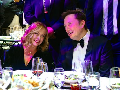 Giorgia Meloni, Elon Musk