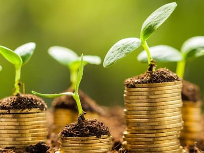 El mercado de bonos se tiñe de verde