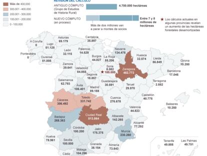 Superficie forestal desamortizada