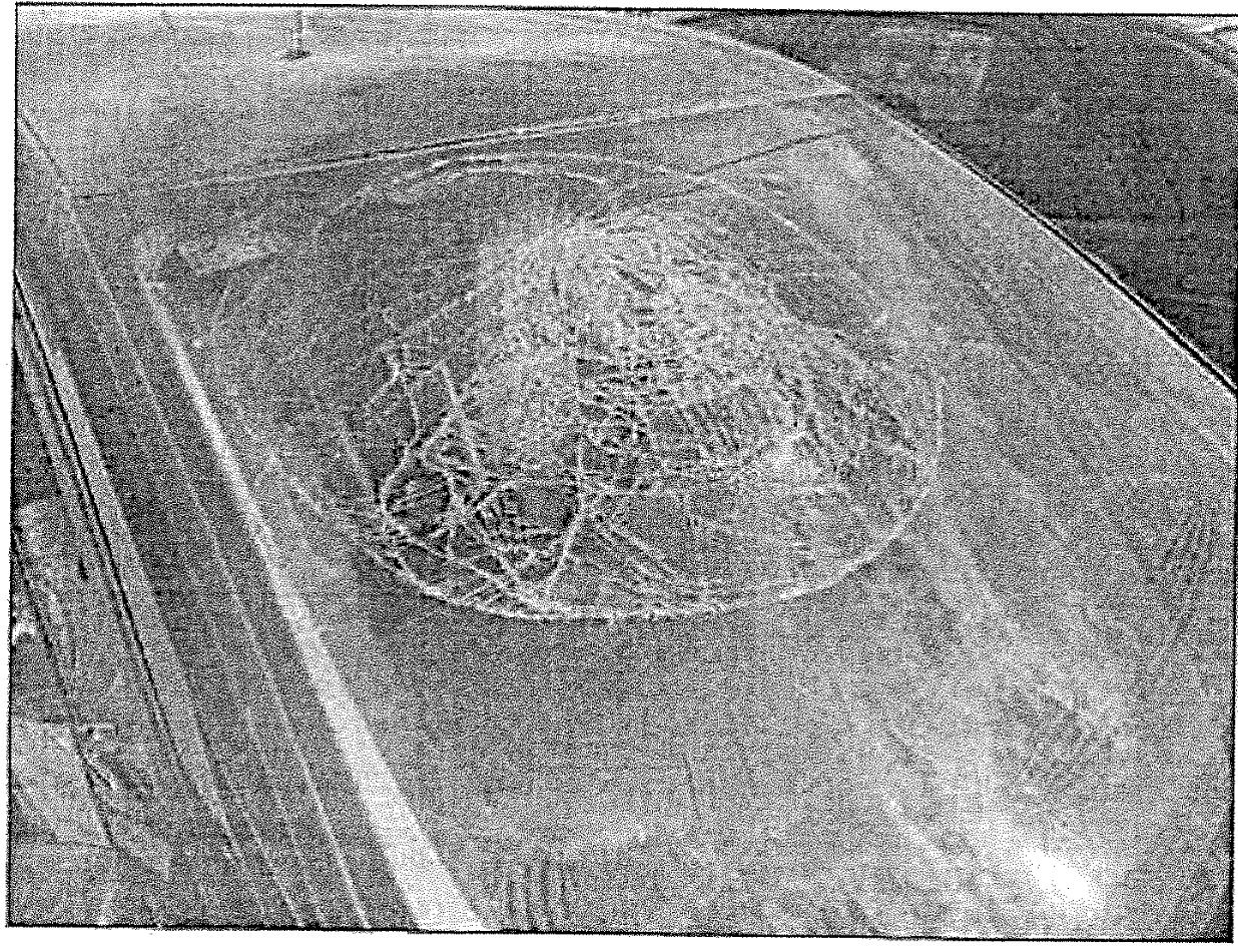 Estado en el que quedó el coche en el que viajaba Teresa con Fernando, con un impacto producido por la cabeza de la anciana.