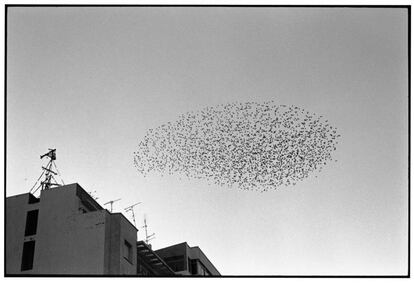 Fotografía de Javier Campano.