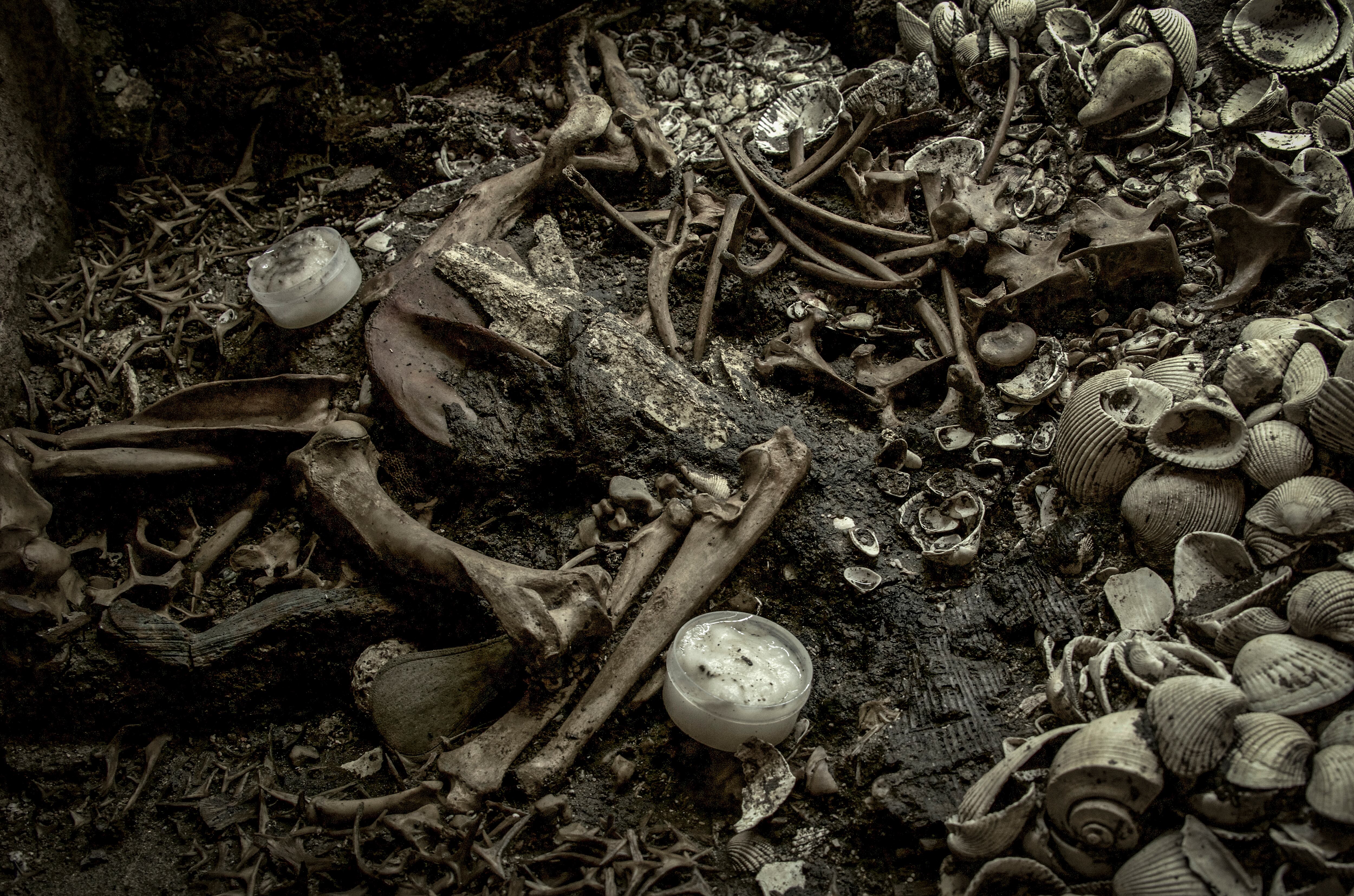 Una ofrenda en la que se han encontrado 164 estrellas de mar en la excavación del Templo Mayor