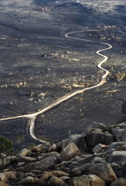 El rastro de las llamas que arrasaron casi la totalidad del monte Pindo en Carnota (A Coruña), esta semana.