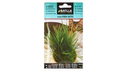 Hierba para gatos de Batlle