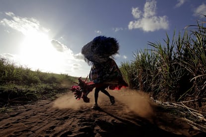 Movimento cultural secular, o Maracatu de Baque Solto possui tradição forte. O aspecto religioso enraizado toma conta das apresentações, divindades em caboclos, lampiões, rei, mestre caboclo e rainhas. A vestimenta de um caboclo de lança é composta por chapéu, gola, cravo (que chega a passar de sete a oito dias sob banhos e rezas), uma ceroula e a lança. Nada disso pesa se o trabalho de reza for bem feito, diz o presidente do Águia Dourada. “Através desses guias, ele passa os três dias sem sentir o peso, fome e sede.”   @bealcantara