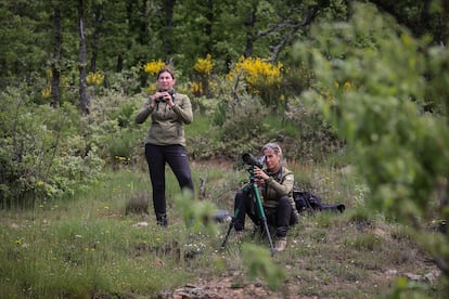 Elsa Sanchez (de pie) y Begoña Almeida, en una jornada de trabajo de la Patrulla Oso en las montañas palentinas.