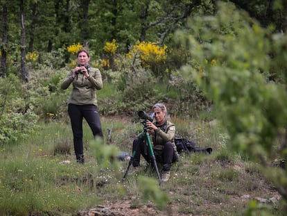 Elsa Sanchez (de pie) y Begoña Almeida, en una jornada de trabajo de la Patrulla Oso en las montañas palentinas.