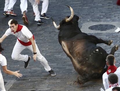 Uno de los toros de la ganadería de Fuente Ymbro durante el recorrido.