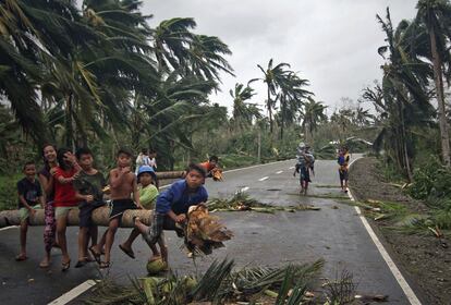 Varios niños juegan sobre los restos de un cocotero derribado sobre una carretera por lo vientos del tifón. La Agencia Meteorológica de Filipinas (PAGASA), ha rebajado la peligrosidad de Hagupit, puesto que sus vientos se han debilitado hasta los 105 kilómetros por hora. Aun así, sigue siendo un riesgo.