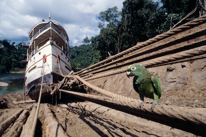 Herzog había concebido una escena grandiosa para 'Fitzcarraldo, un acto de desmesura sin precedentes: arrastrar un barco de vapor de 320 toneladas a lo alto de una colina de 500 metros y, desde allí, hacerlo descender sobre las aguas de un afluente del Amazonas.