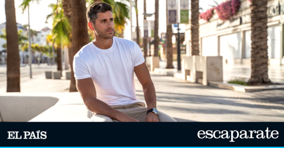 ¡Oferta Imperdible! Camisetas Jack & Jones por Menos de 10 Euros: Tu Elección Ideal para el Verano