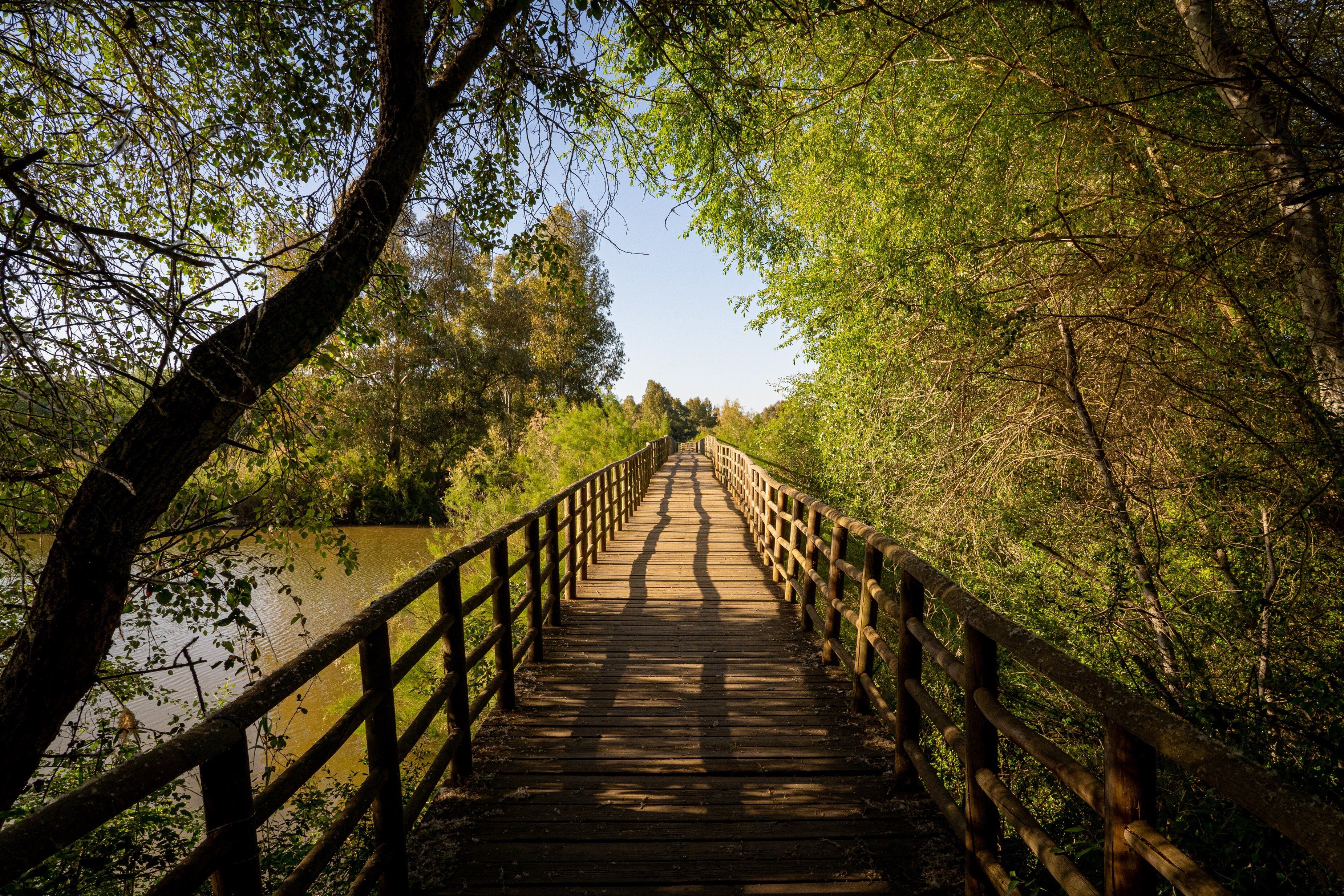 Puente en el corredor verde del río Guadiamar, por donde discurrieron los lodos tóxicos de Aznalcóllar.