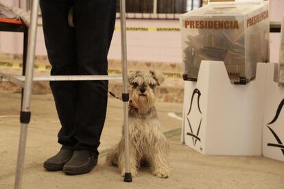 Una señora mayor acudio a votar con su mascota. 